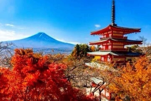 Da Tokyo: tour privato di un giorno al Monte Fuji con guida in inglese
