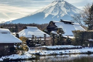 Vanuit Tokio: Fuji Berg Privé Dagtrip met chauffeur