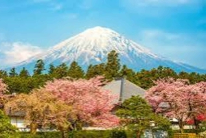 Mount Fuji: Privat dagsutflykt (anpassningsbar) Engelsktalande chaufför