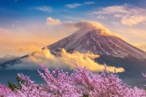 Mount Fuji: Privat dagsutflykt (anpassningsbar) Engelsktalande chaufför