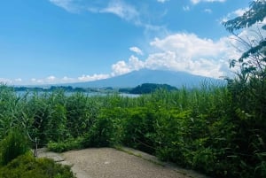 Mount Fuji: Privat dagsutflykt (anpassningsbar) Engelsktalande chaufför