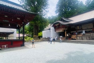 Mount Fuji: Privat dagsutflykt (anpassningsbar) Engelsktalande chaufför