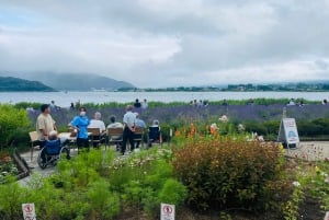 Mount Fuji: Privat dagsutflykt (anpassningsbar) Engelsktalande chaufför