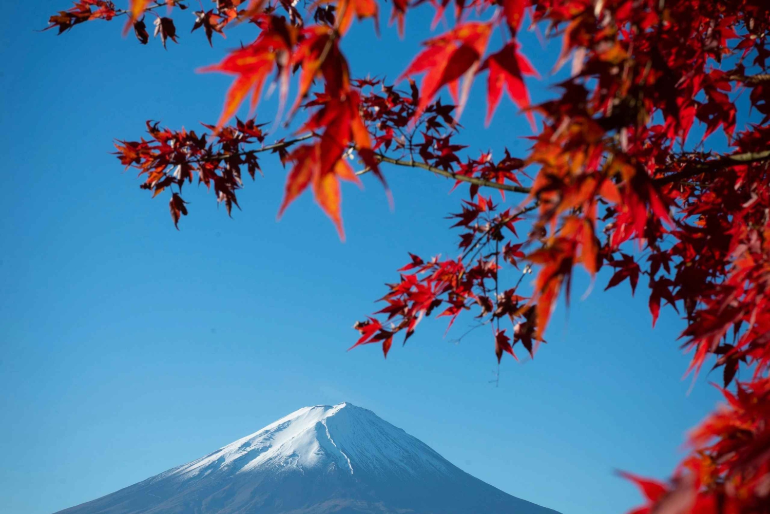 Fuji-bjerget Privat heldagstur fra Tokyo i bil eller varevogn
