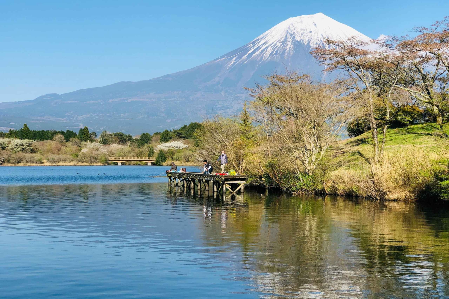Fuji-bjerget Privat heldagstur fra Tokyo i bil eller varevogn