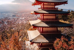 Fuji-bjerget Privat heldagstur fra Tokyo i bil eller varevogn