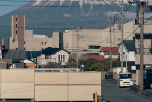 Fuji-bjerget Privat heldagstur fra Tokyo i bil eller varevogn