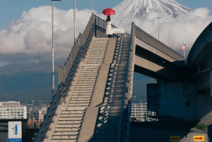 Fuji-bjerget Privat heldagstur fra Tokyo i bil eller varevogn