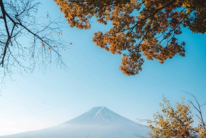 Fuji-bjerget Privat heldagstur fra Tokyo i bil eller varevogn