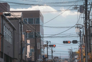 Fuji-bjerget Privat heldagstur fra Tokyo i bil eller varevogn