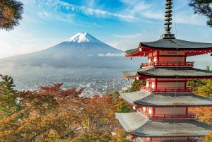 Fuji-bjerget Privat heldagstur fra Tokyo i bil eller varevogn