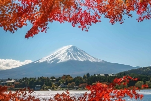 Fuji-bjerget Privat heldagstur fra Tokyo i bil eller varevogn