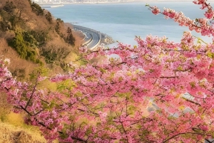 Fuji-bjerget Privat heldagstur fra Tokyo i bil eller varevogn