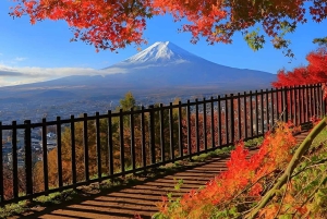 Fuji-bjerget Privat heldagstur fra Tokyo i bil eller varevogn