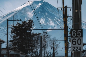 Fuji-bjerget Privat heldagstur fra Tokyo i bil eller varevogn