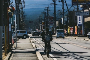 Fuji-bjerget Privat heldagstur fra Tokyo i bil eller varevogn