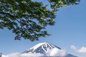 Fuji-bjerget Privat heldagstur fra Tokyo i bil eller varevogn