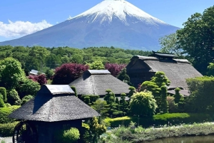 Fuji-bjerget Privat heldagstur fra Tokyo i bil eller varevogn