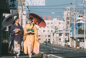 Fuji-bjerget Privat heldagstur fra Tokyo i bil eller varevogn