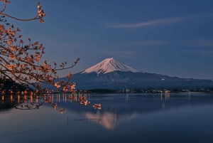 Fuji-bjerget Privat heldagstur fra Tokyo i bil eller varevogn