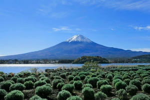 Fuji-bjerget Privat heldagstur fra Tokyo i bil eller varevogn