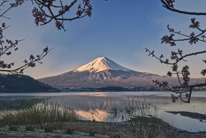 Fuji-bjerget Privat heldagstur fra Tokyo i bil eller varevogn