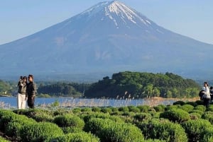 From Tokyo: Nikko World Heritage Private Customized Day Tour