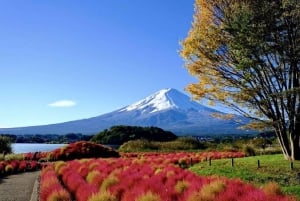 From Tokyo: Nikko World Heritage Private Customized Day Tour