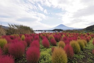 From Tokyo: Nikko World Heritage Private Customized Day Tour