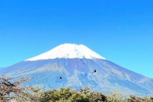 From Tokyo: Nikko World Heritage Private Customized Day Tour