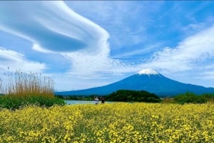 From Tokyo: Nikko World Heritage Private Customized Day Tour