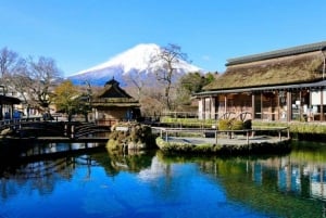 From Tokyo: Nikko World Heritage Private Customized Day Tour