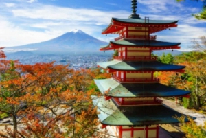 Обзорная экскурсия по горе Фудзи с англоговорящим гидом