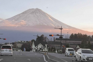 Обзорная экскурсия по горе Фудзи с англоговорящим гидом