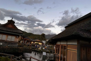 Обзорная экскурсия по горе Фудзи с англоговорящим гидом