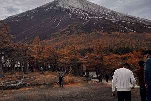 Обзорная экскурсия по горе Фудзи с англоговорящим гидом