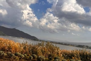 Обзорная экскурсия по горе Фудзи с англоговорящим гидом