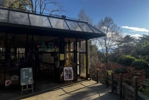 Tokio: Wycieczka piesza z przewodnikiem na górę Takao