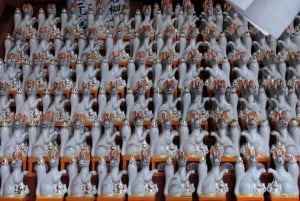 Tokio: Wycieczka piesza z przewodnikiem na górę Takao