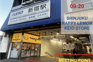 Tokio: Wycieczka piesza z przewodnikiem na górę Takao