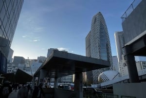 Tokio: Wycieczka piesza z przewodnikiem na górę Takao