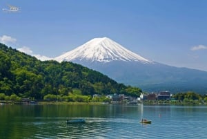 Mount Fuji: Privat dagsutflykt (anpassningsbar) Engelsktalande chaufför