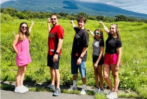 Mt Fuji : 10 hours Private Tour in Luxury Private Car