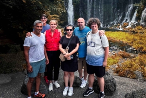 Mt Fuji : 10 hours Private Tour in Luxury Private Car