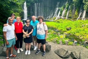 Monte Fuji: tour privado de 10 horas en coche privado de lujo.