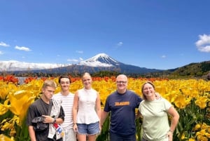 Monte Fuji: tour privado de 10 horas en coche privado de lujo.