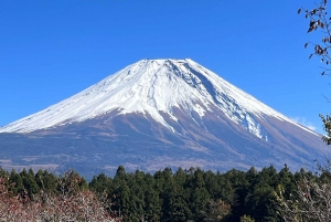 Mt. Fuji: 2-Day Climbing Tour with Mountain Guide