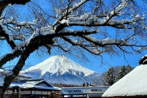 Mount Fuji & Hakone Full-Day Private Tour (Customizable)
