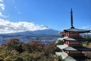 Mount Fuji & Hakone Full-Day Private Tour (Customizable)