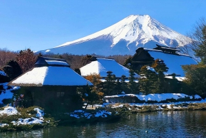 Mount Fuji & Hakone Full-Day Private Tour (Customizable)